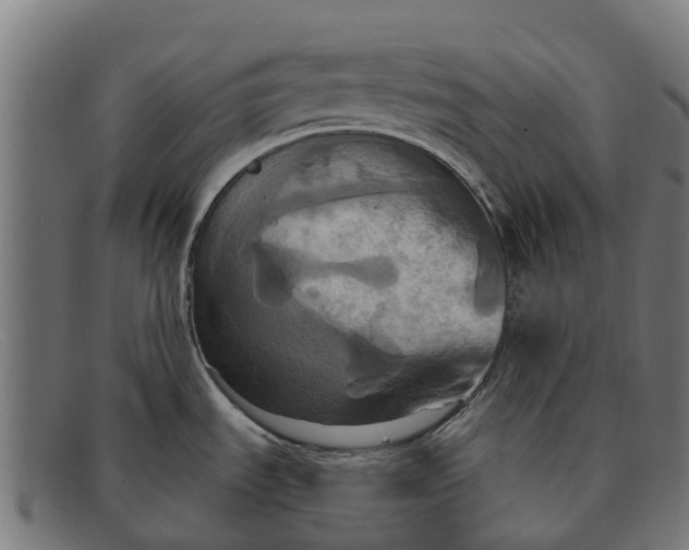 X0000091641535200709131421