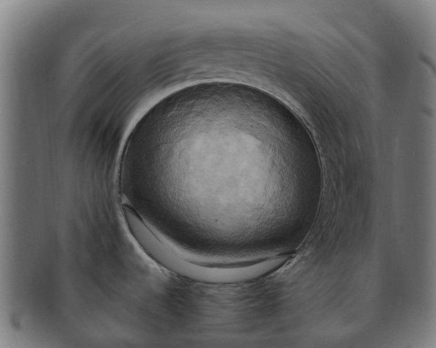X0000091641536200709131421