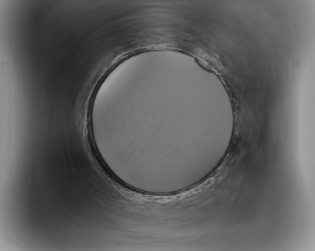 X0000091640002200709201116