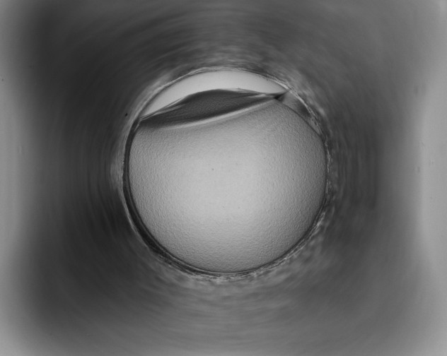 X0000091640003200709201116