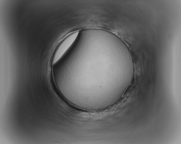 X0000091640005200709201116