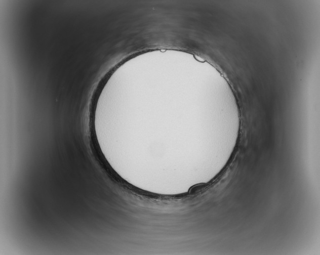 X0000091640008200709201116