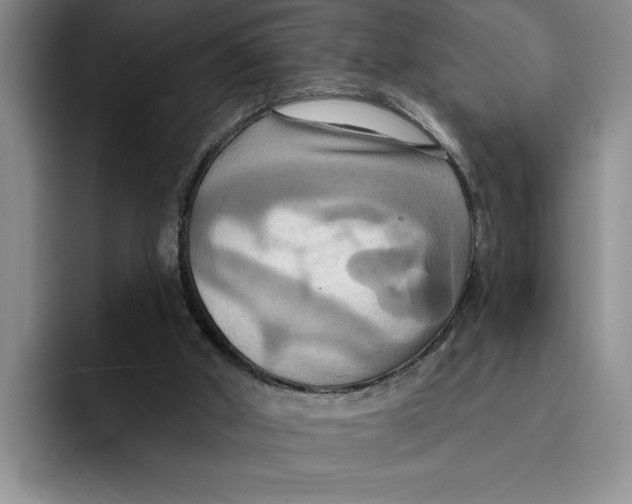 X0000091640010200709201116