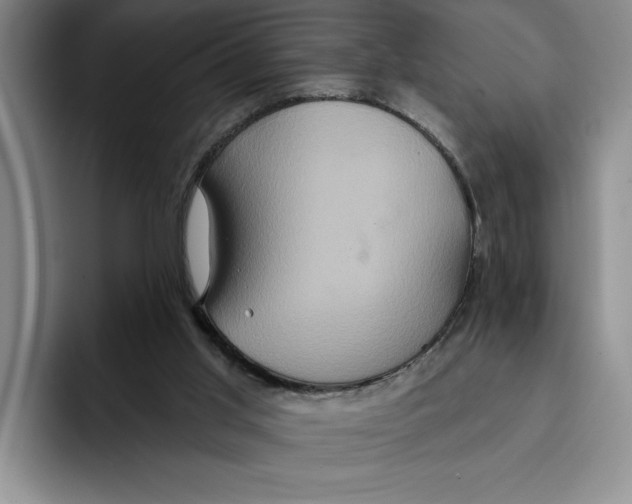 X0000091640013200709201116