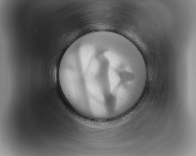 X0000091640014200709201116