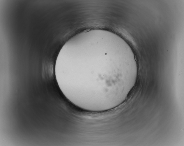 X0000091640021200709201116