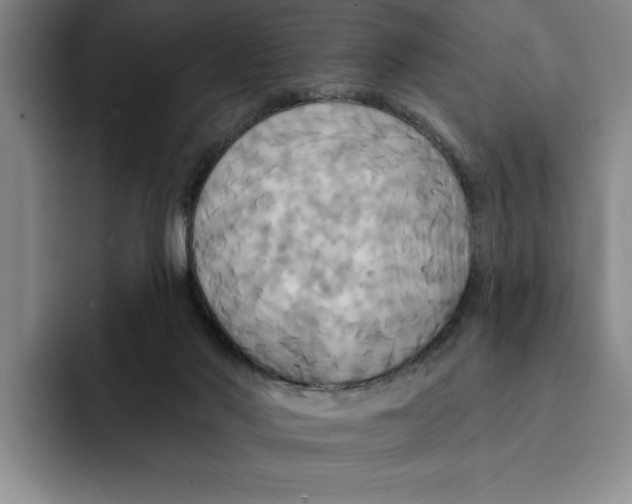 X0000091640022200709201116