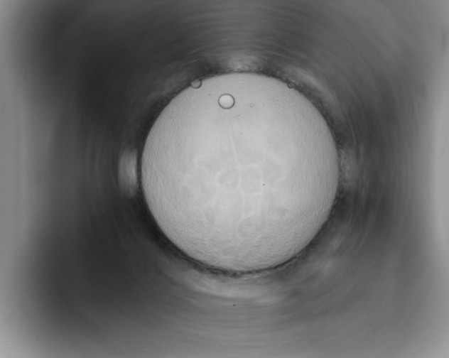 X0000091640028200709201116