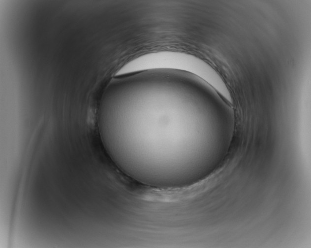 X0000091640033200709201116