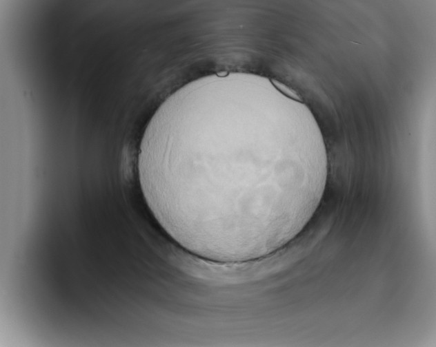 X0000091640038200709201116