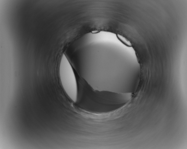 X0000091640039200709201116