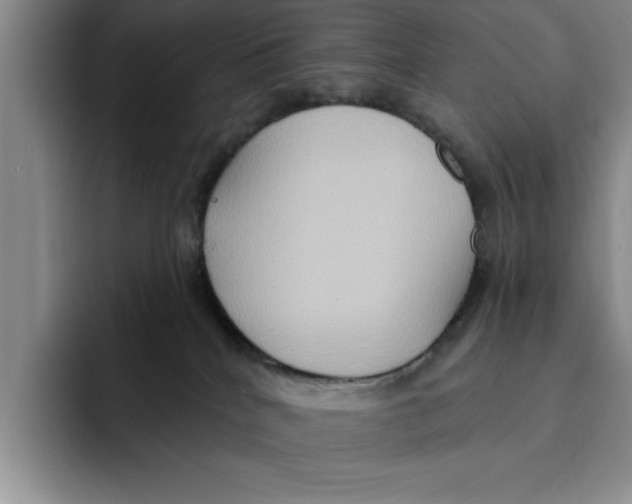 X0000091640040200709201116