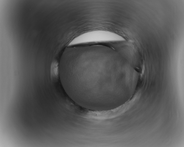 X0000091640041200709201116