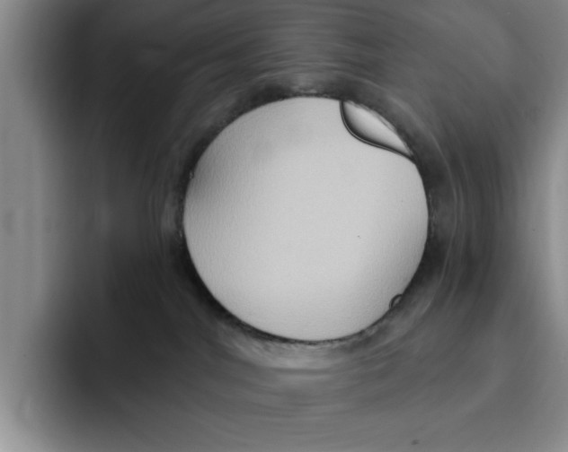 X0000091640044200709201116