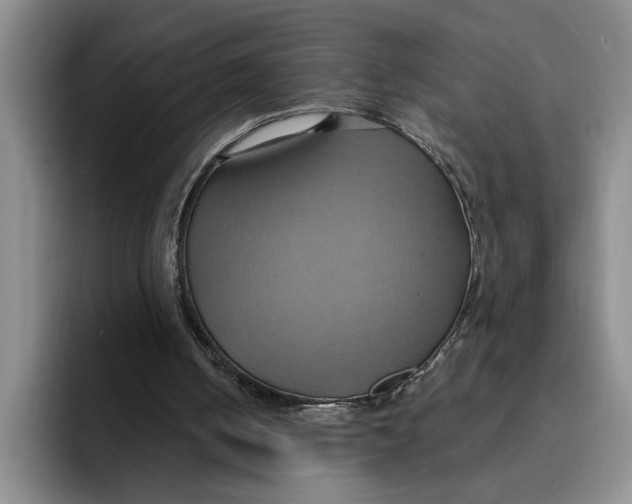 X0000091640050200709201115