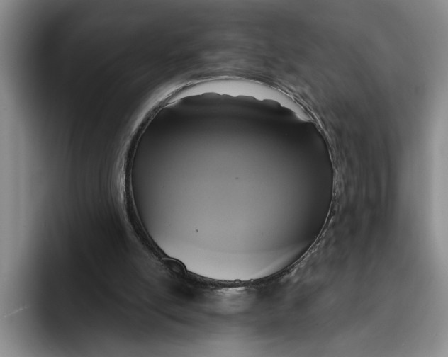 X0000091640054200709201115