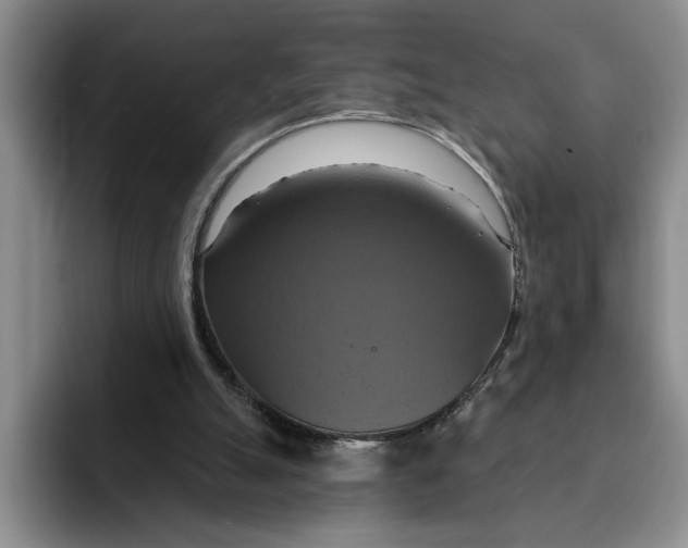 X0000091640055200709201115