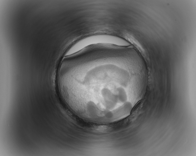 X0000091640058200709201115