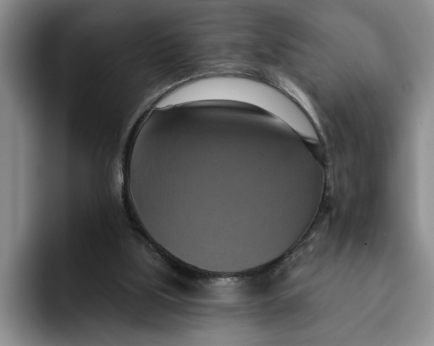 X0000091640059200709201115