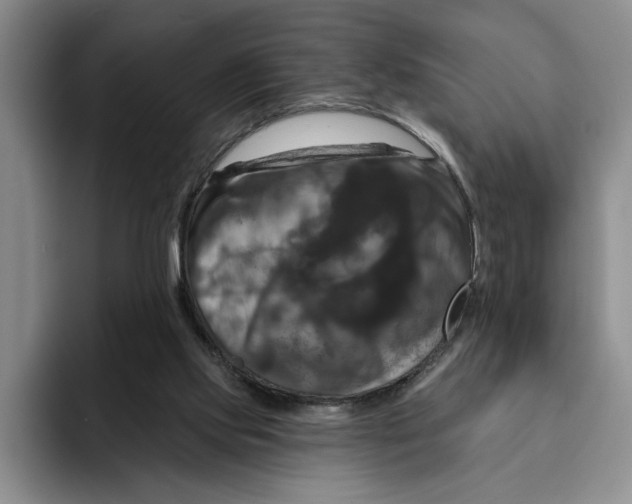 X0000091640061200709201115