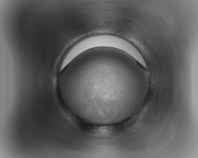 X0000091640064200709201115