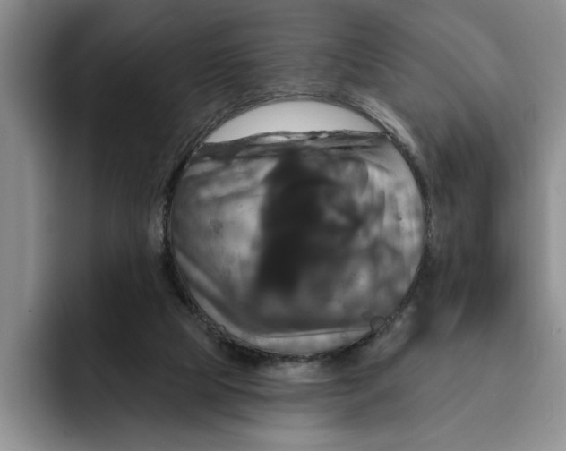 X0000091640065200709201115