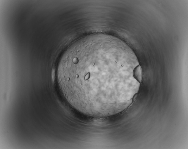 X0000091640070200709201116