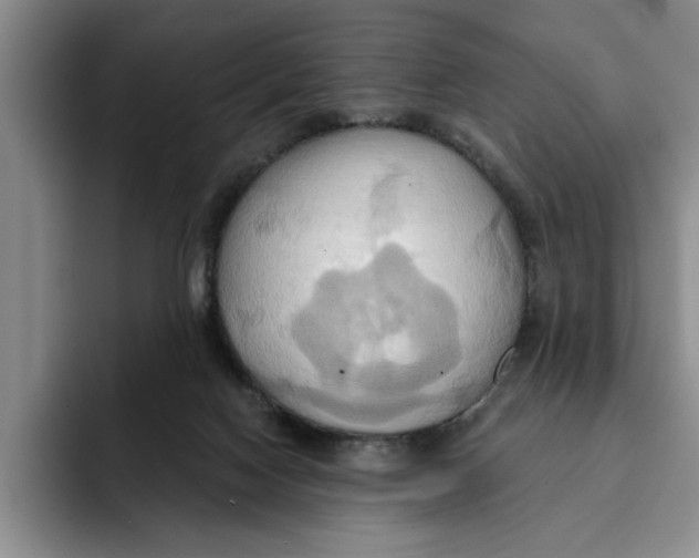 X0000091640074200709201116