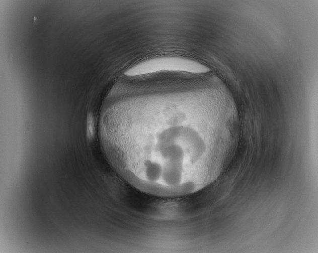 X0000091640075200709201116