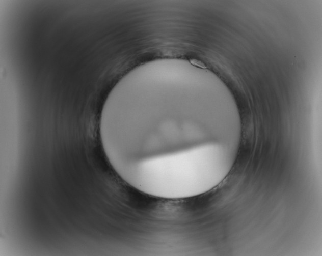 X0000091640078200709201116