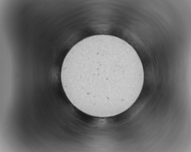 X0000091640083200709201116