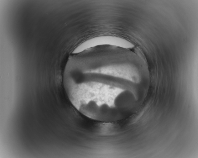 X0000091640085200709201116