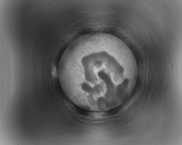 X0000091640089200709201116