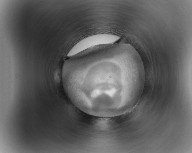 X0000091640090200709201116