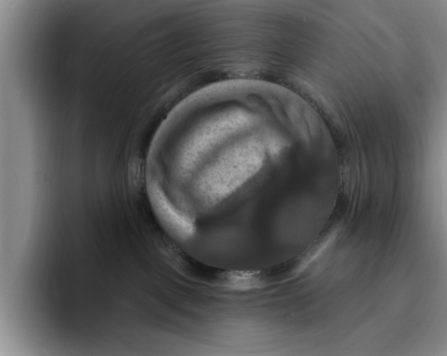 X0000091640093200709201116