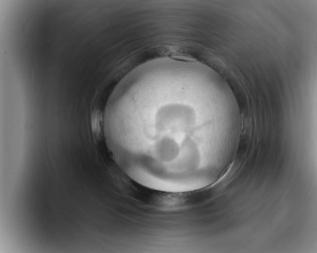 X0000091640094200709201116