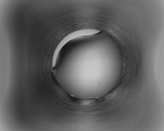 X0000091640096200709201116