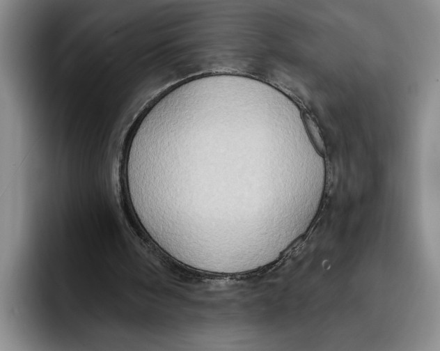 X0000091640098200709201115