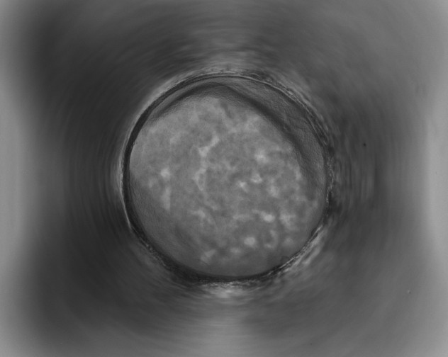 X0000091640100200709201115