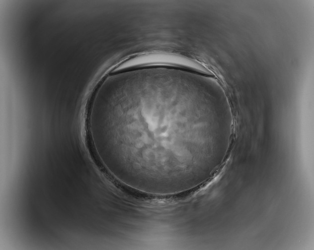 X0000091640101200709201115