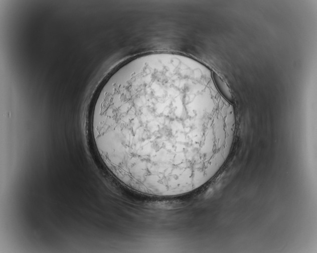 X0000091640103200709201115