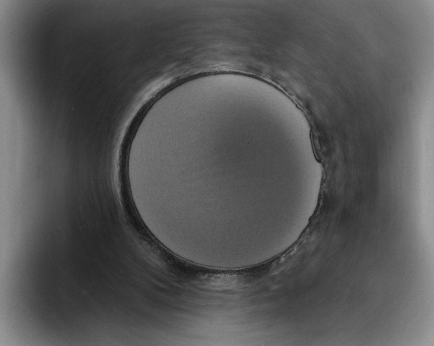 X0000091640104200709201115