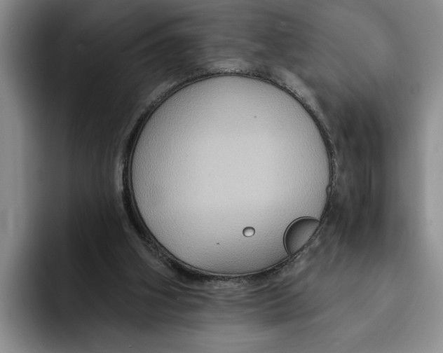 X0000091640106200709201115