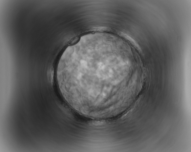 X0000091640110200709201115