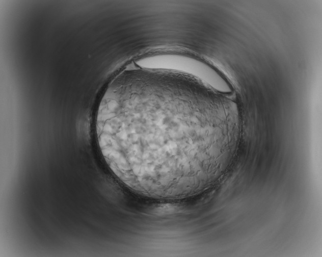 X0000091640111200709201115