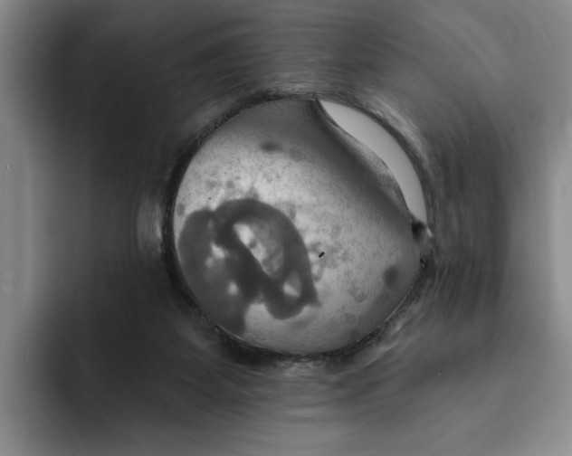 X0000091640115200709201115