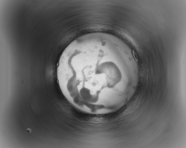 X0000091640119200709201115