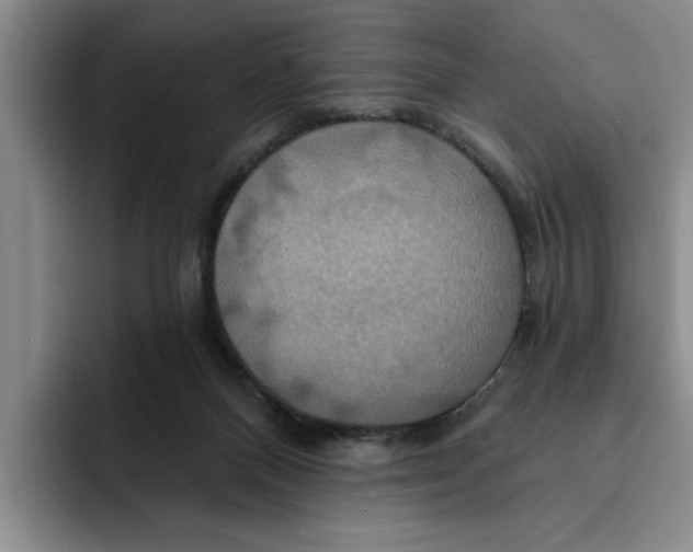 X0000091640120200709201115