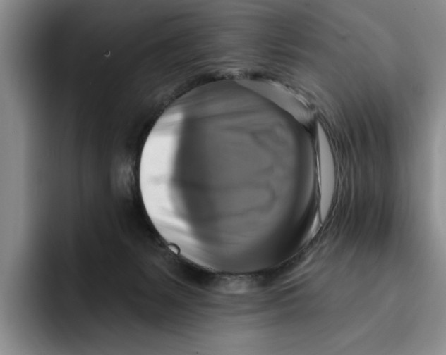 X0000091640127200709201115