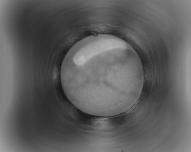 X0000091640132200709201115